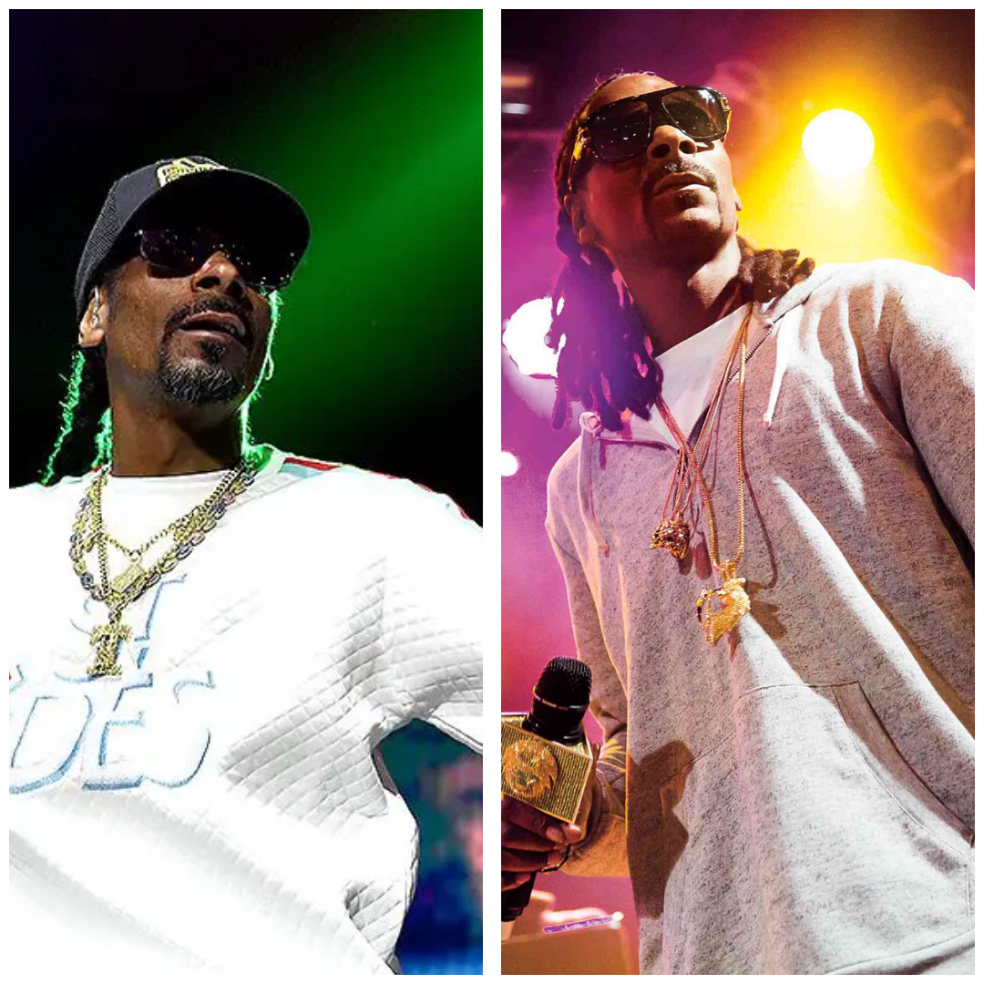 Uncovering Snoop Dogg's Literary Influence: The Poetic Prelude to ...